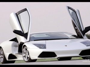 lamborghini murcielago white wallpaper